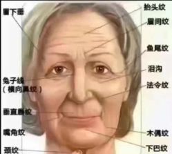 点击看大图 -西施无菌半永久纹绣眉眼影唇轻增发纹发际线