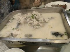 -洞庭家宴·头牌甲鱼(广渠门店)