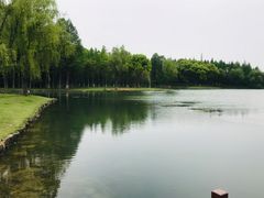 -新洲生态园