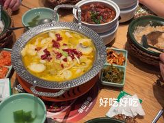 -谷田稻香·砂锅菜(西乡天虹店)