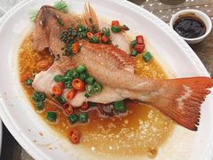 鲜花椒蒸东升斑-金汇酒楼(中山东区店)