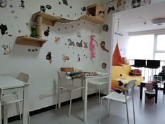 -我爱猫咪·猫咖·狗咖·安哥拉兔·羊驼咖(小寨华旗店)