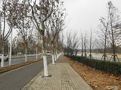 -金科路(地铁站)