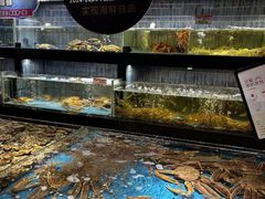 -徐记海鲜(南油永新汇店)