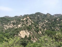 -大岭沟猕猴桃谷风景区