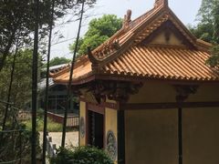 -外蒲山