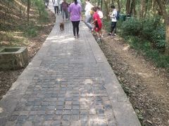 -紫金山山顶公园