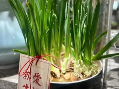 -豆豆花艺(新光天地店)