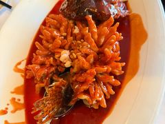 -松鹤楼·非遗·苏帮菜(融科店)