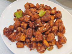 -正阳春烤鸭(华捷道店)