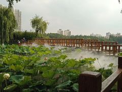 -黄兴公园