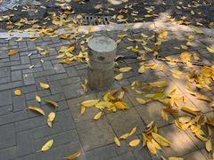 -樹下遇见树·咖啡