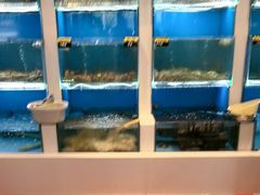 -赶海部落海鲜城(海阳路店)