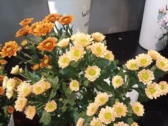 -万卉源鲜花店(百尚生活广场店)