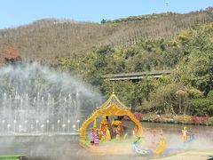 -西双版纳原始森林公园