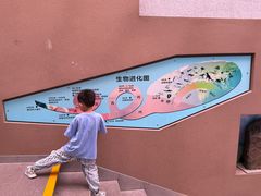 -陕西自然博物馆