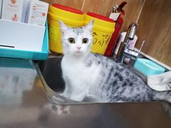 -瑞派名望24h动物医院异宠专科·猫专科·骨科·重症监护分院