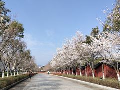 -横店圆明新园