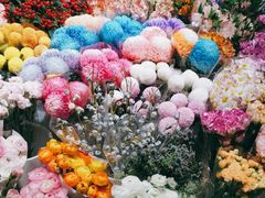 -双季花艺园艺市场(浦东店)