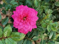 -人民公园(罗湖区)