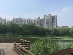 -新江湾城公园