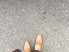 -上海月星家居(澳门路店)