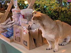 -大洋晶典(东街店)