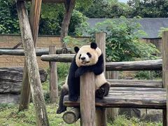 -杭州野生动物世界