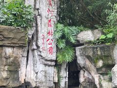 -广州市流溪河国家森林公园
