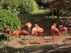 -青岛森林野生动物世界