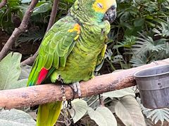 -南宫五洲植物乐园