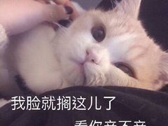 -满记甜品(南京虹悦城三店)