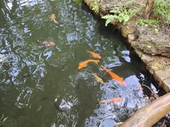 -海南热带野生动植物园