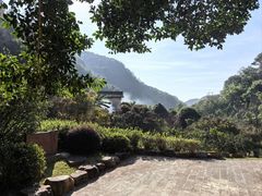 -雁南飞茶田景区