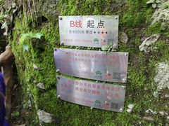 -修水东浒寨风景区