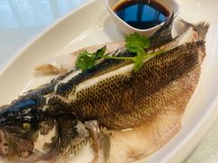 -凯鸽酒楼•雁北民间菜(华北星店)