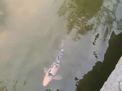 -春风习习