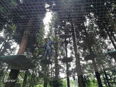 -武陵山森林公园
