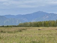 -野鸭湖国家湿地公园