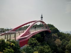 -金鸡山公园