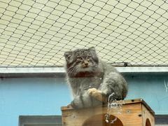 -青藏高原野生动物园