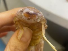 -集品鲜湾·蒸汽海鲜自助料理(青岛银座和谐广场店)