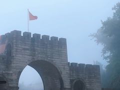 -铁山坪森林公园