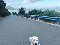 -桃花岛风景旅游区