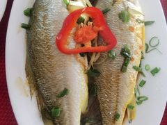 -蛇口康乐快餐鱼仔档(翠苑小区店)