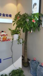 点击看大图 -蕾特恩专业祛痘国际连锁
