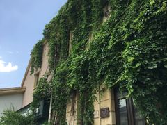 -北京张裕爱斐堡酒庄