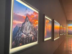 -罗红摄影艺术馆