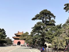 -北陵公园