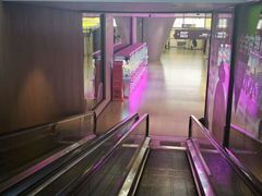 -涨巢·潮玩水疗局